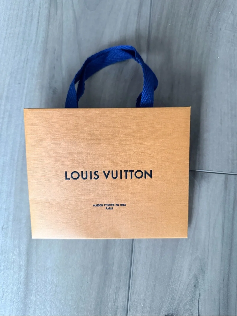 Louis Vuitton Paper Bag